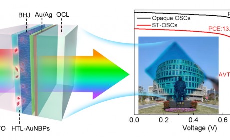 上海大学中欧学院徐韬副教授课题组在《Advanced Science》上发表最新研究成果