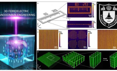 南京大学张勇、肖敏、祝世宁等发明用激光3D打印纳米铁电畴