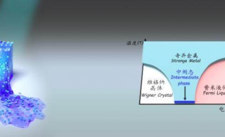 《Nature》发表南京大学缪峰合作团队“原子乐高”量子模拟重大突破
