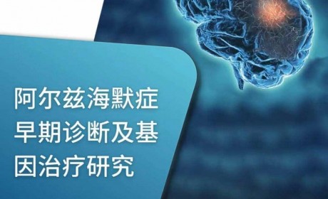 香港科技大学研究团队在阿尔兹海默症的早期诊断和治疗方面取得的重大突破