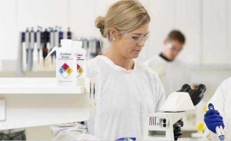 纽卡斯尔大学成为全澳首家斩获两项科学性别平等奖项的大学