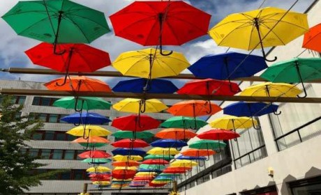 在英国利物浦大学用彩虹色的伞撑起多元化的蓝天