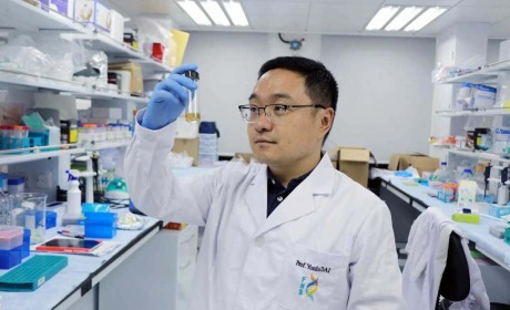 澳门大学新型纳米药提高治疗肿瘤效果