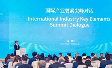 新加坡南洋理工大学副校长蓝钦扬教授在上海参加“国际产业要素尖峰对话”活动