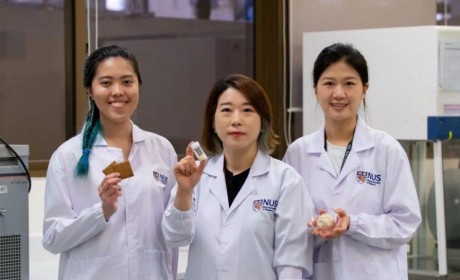 新国大科研团队发现 食用豆渣制成的饼干有助于改善肠道健康