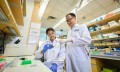 新国大研究人员新开发的癌症检测方法可实现定期监测