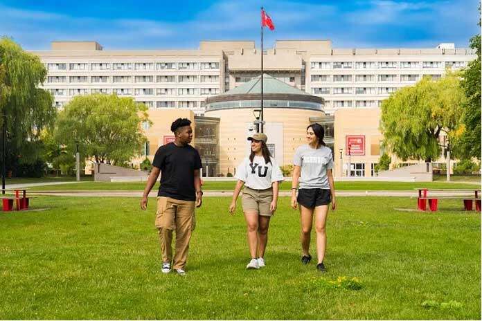加拿大约克大学走上国际舞台 全球排名攀升